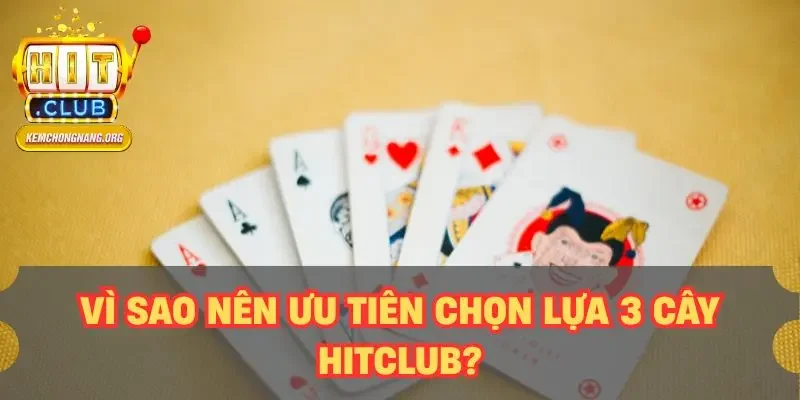 3 Cây HITCLUB - Hướng Dẫn Từ A-Z Cho Người Mới Tham Gia Vì sao nên ưu tiên chọn lựa 3 cây HITCLUB?